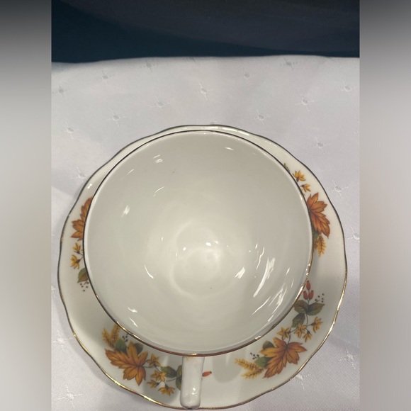 Queen Anne Teacup and Saucer, Ridgway Potteries,Fall Autumn, English Bone China - Picture 7 of 9